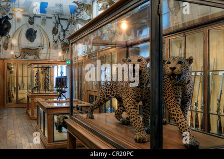 France, Paris, Le Marais District, Musee de la Chasse et de la Nature (Museum of hunting and nature) in the Hotel de Guenegaud Stock Photo