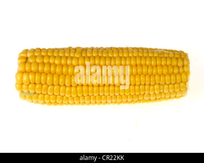 Corn on the Cob Stock Photo