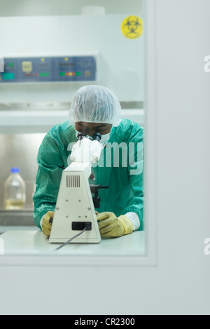 Male researcher working in pharmaceutical industry laboratory and looking with microscope Stock Photo