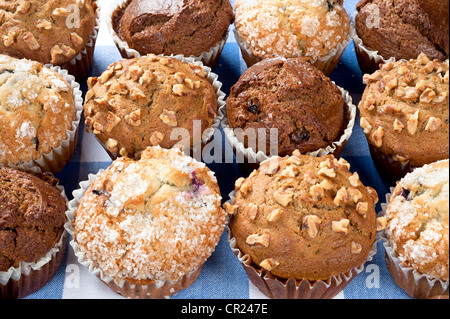 A group of freshly baked breakfast muffins including blueberry, chocolate, and walnut resting on a checkered tablecloth. Stock Photo