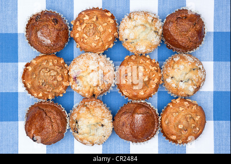 A group of freshly baked breakfast muffins including blueberry, chocolate, and walnut resting on a checkered tablecloth. Stock Photo