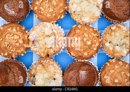 A group of freshly baked breakfast muffins including blueberry, chocolate, and walnut resting on a checkered tablecloth. Stock Photo