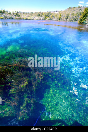 Te Waikoropupu Springs (Pupu), near Takaka, New Zealand Stock Photo