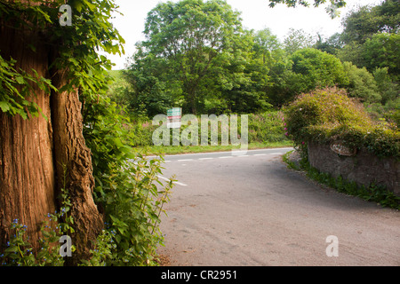 Woodland for sale sign on verge of Devon country road. Stock Photo