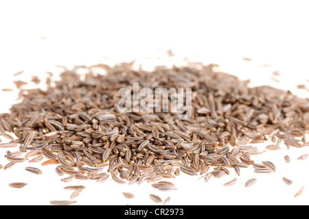 Fresh cumin isolated on white background close up Stock Photo