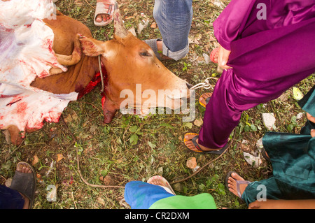 Hari Raya Aidiladha or hari raya haji, is an important religious festival for muslims. Photo taken 6 Nov, 2012 at Malaysia. Stock Photo