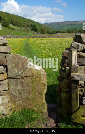 Wooden gate, dry stone walls, Public right of way for walkers & ramblers in farmland, North Yorkshire Dales Meadows, Gunnerside Yorkshire Dales, UK Stock Photo