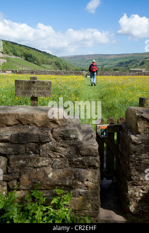 Wooden signs, dry stone walls, Walkers & Ramblers in pasture farmland, North Yorkshire Dales Meadows, Gunnerside, National Park, Richmondshire, UK Stock Photo