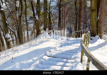 Wooden snowy oak staircase with handrail on steep hill in winter. Stock Photo