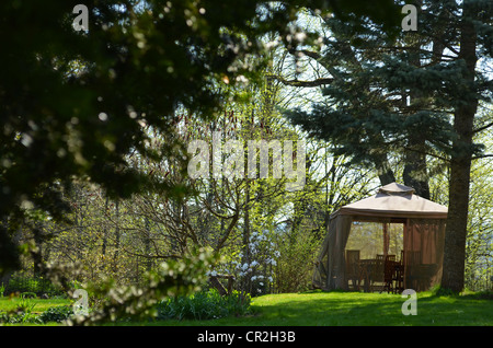 Bower arbour summerhouse tables and chairs inside. Rest in green garden surrounding. Yew branches blooming magnolia flower, spru Stock Photo