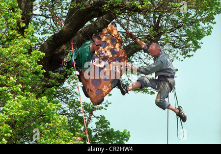 Two abseiling tree surgeons hang from their harnesses while installing a wooden 'Tree Kite' sculpture as part of Brighton festival.