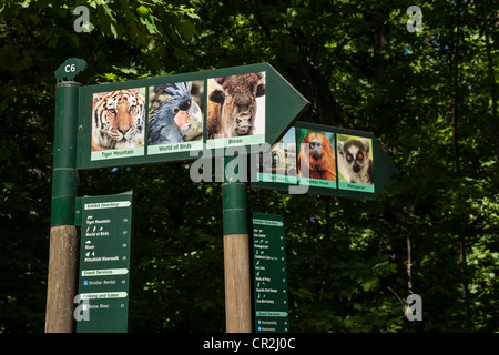 The Bronx Zoo, Wildlife Conservation Society, Bronx Park, Bronx, NYC Stock Photo