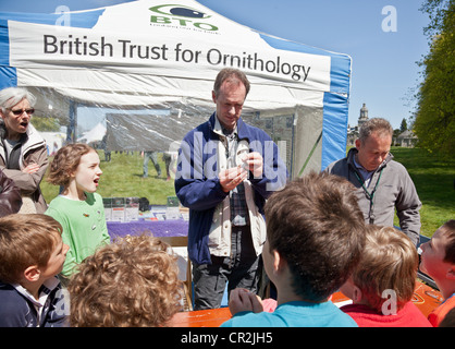 BTO qualified ringer holding up a Treecreeper during a bird ringing demonstration at the Scottish Birdwatching Fair Stock Photo