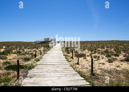 Boardwalk down to Praia do Ancao (Ancao Beach), near Quinta do Lago, Algarve, Portugal Stock Photo