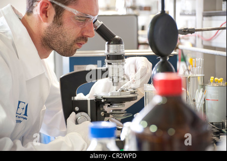laboratory technician working in lab Stock Photo