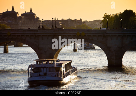 France, Paris, the banks of the Seine listed World Heritage by UNESCO, a riverboat in front of the Pont Neuf Stock Photo