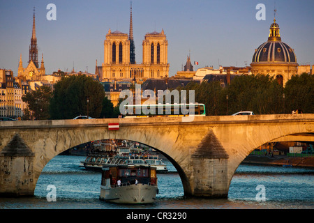 France, Paris, the banks of the Seine listed World Heritage by UNESCO, a riverboat at the Carousel bridge and Notre-Dame Stock Photo