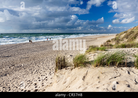 Stretch of beat at Rotes Kliff, red cliff, near Kampen on Sylt island, North Friesland district, Schleswig-Holstein Stock Photo
