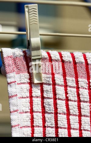 Clothes peg securing tea towel on washing line Scotland UK Stock Photo