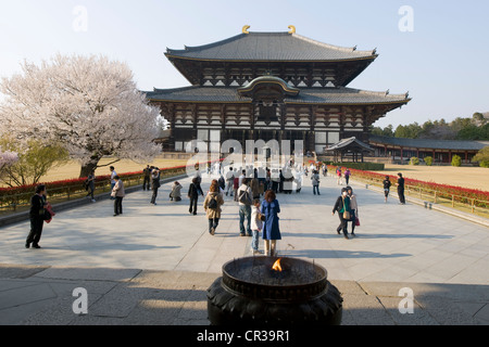 Japan, Honshu Island, Kinki Region, city of Nara, Historic Monuments of Ancient Nara UNESCO World Heritage, the Daibutsu Den Stock Photo