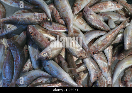 Main Food Market Near Rialto Bridge, Venice, Italy Stock Photo