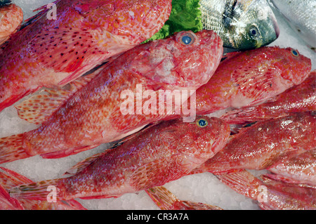 Main Food Market Near Rialto Bridge, Venice, Italy Stock Photo