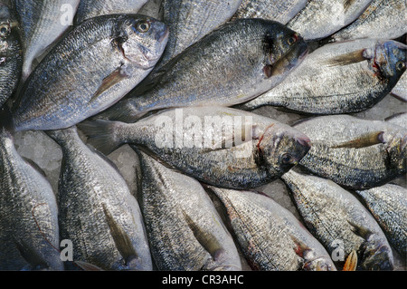 Main Food Market Near Rialto Bridge, Venice, Italy Stock Photo