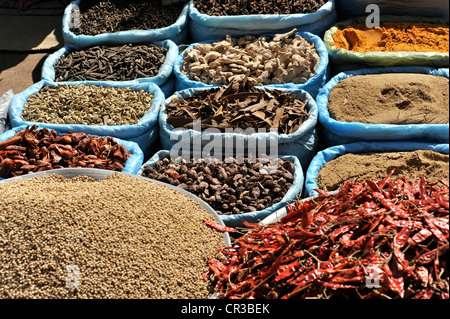 Spices, spice shop, Kathmandu, Nepal, Asia Stock Photo