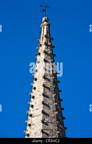 France, Bouches du Rhone, Saint Remy de Provence, bell tower of St Martin collegiate church Stock Photo