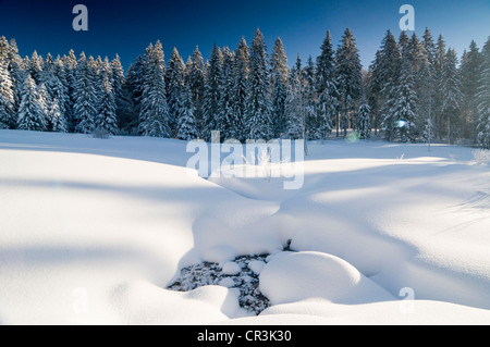 Snow-covered landscape on Schauinsland mountain, Freiburg im Breisgau, Baden-Wuerttemberg, Germany, Europe