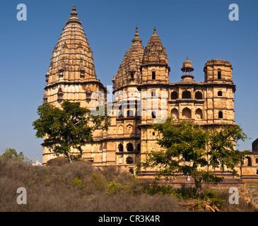 India, Madhya Pradesh State, Orchha, Ram Raja Temple, a former palace of 17th century converted into a temple Stock Photo