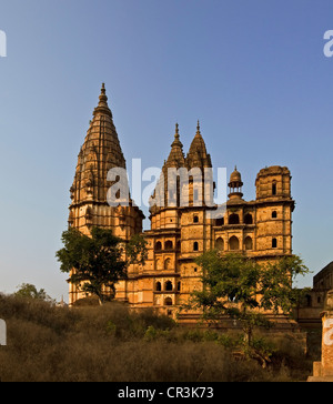 India, Madhya Pradesh State, Orchha, Ram Raja Temple, a former palace of 17th century converted into a temple Stock Photo