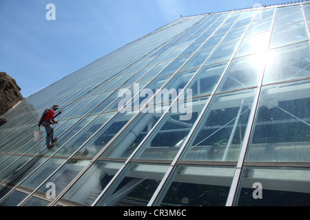 Window cleaner on Moody Gardens pyramid, Galveston Texas Stock Photo