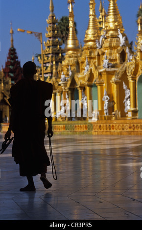 Myanmar (Burma), Rangoon Division, Rangoon City, Paya Shwedagon Pagoda, Buddhist in the temple courtyard Stock Photo