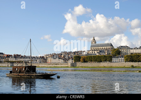 Cathédrale Saint-Louis de Blois, boat, Loire river, Blois, Loir-et-Cher, Centre, France, Europe, PublicGround Stock Photo