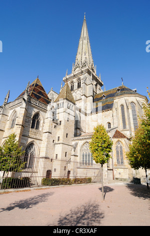 Saint-Lazare Cathedral, Autun, Department of Saone-et-Loire, Burgundy, France, Europe, PublicGround Stock Photo