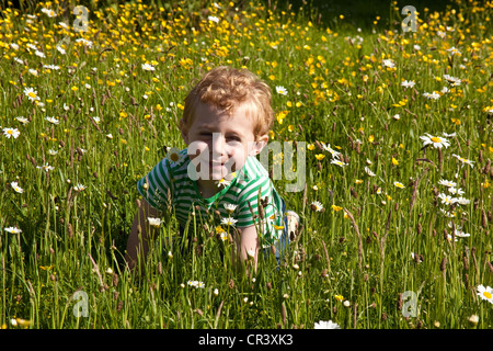 Young boy (two years old) in a wildflower meadow Hampshire, England, United Kingdom. Stock Photo