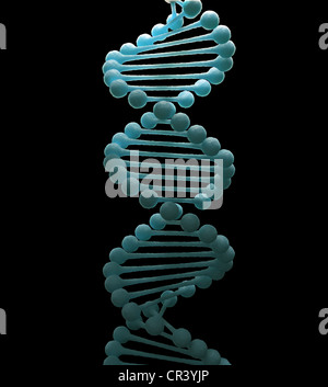 DNA double helix model in gray color, 3D render Stock Photo - Alamy