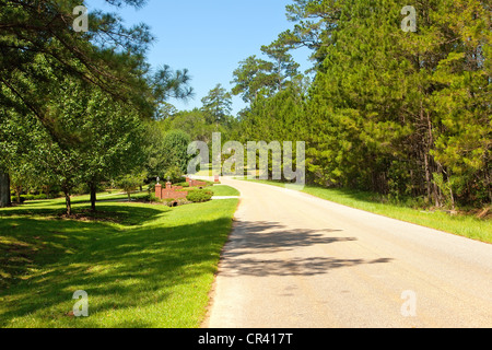 Tree lined country street in rural community Stock Photo