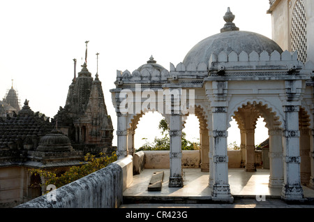 India, Gujarat State, Shatrunjaya Hill, Palitana Temples Stock Photo