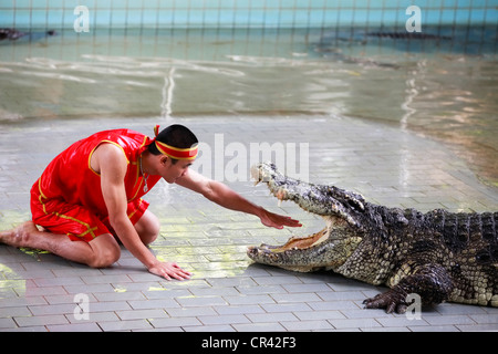 Crocodile show in Thailand Stock Photo