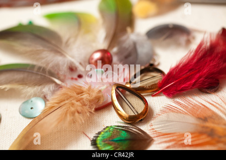 France, Paris, Nelly Saunier, plumassier, handicraft specialized in ...