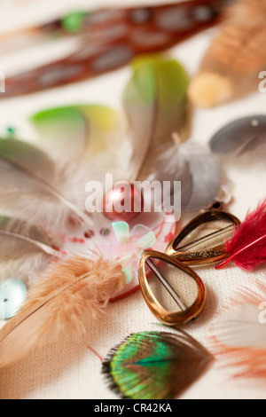 France, Paris, Nelly Saunier, plumassier, handicraft specialized in ...