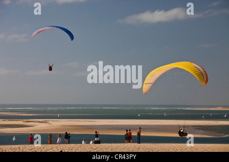 France, Gironde, Bassin d'Arcachon, Pyla-sur-Mer, paragliding on Dune du Pyla, with view over Banc d'Arguin, ornithological Stock Photo