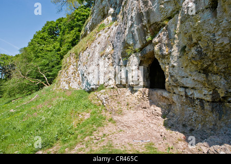 Limestone in Dovedale, Derbyshire Stock Photo