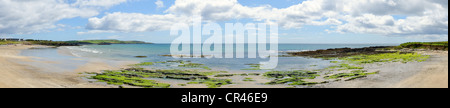 Courtmacsherry Bay near Clonakilty, County Cork, Ireland, Europe Stock Photo