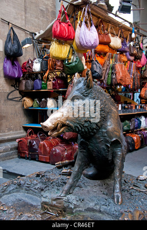 Italy: Florentine Boar, bronze statue of Il Porcellino by Pietro Tacca, in Florence's New Market Stock Photo