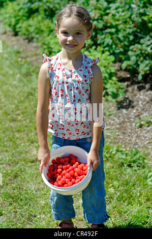 Girl on a raspberry farm with a bowl of freshly picked raspberries, Bavaria, Germany, Europe Stock Photo