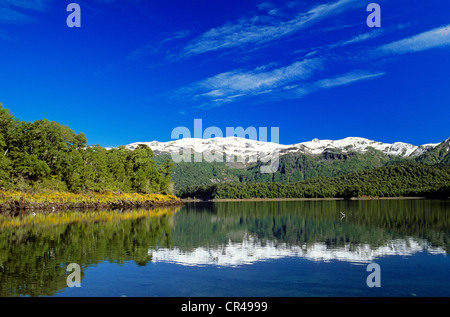 Chile, Los Lagos region, Araucania Province, Conguillio National Park, Conguillio lake Stock Photo