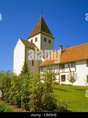 St George collegiate church, Oberzell, Lake Constance, Baden-Wuerttemberg, Germany, Europe Stock Photo